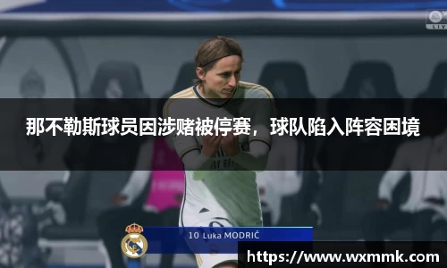 威廉希尔williamhill官网