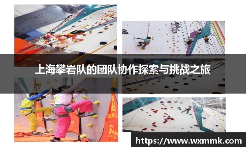 威廉希尔williamhill官网