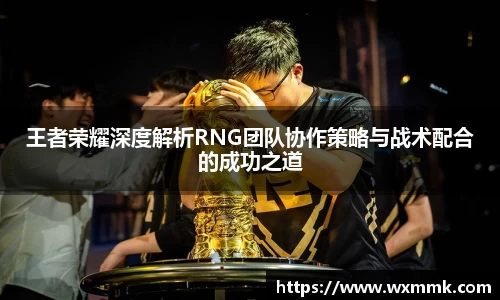 王者荣耀深度解析RNG团队协作策略与战术配合的成功之道