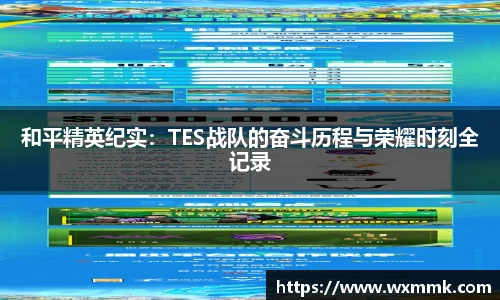 和平精英纪实：TES战队的奋斗历程与荣耀时刻全记录