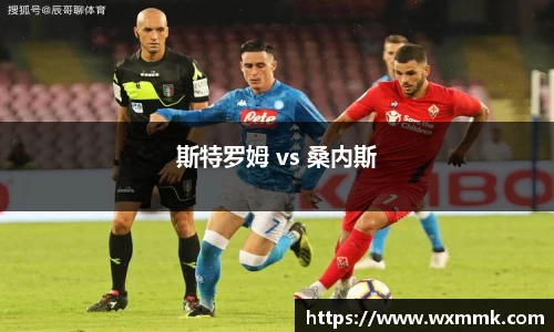 斯特罗姆 vs 桑内斯