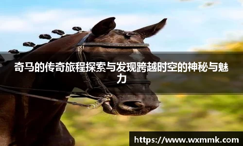 威廉希尔williamhill网址