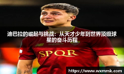 威廉希尔williamhill官网